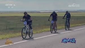 《inZOI》发布紧急补丁回滚部分模块版本至10月份